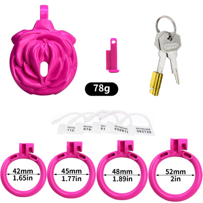 3D Printed Resin Male Chastity Device 